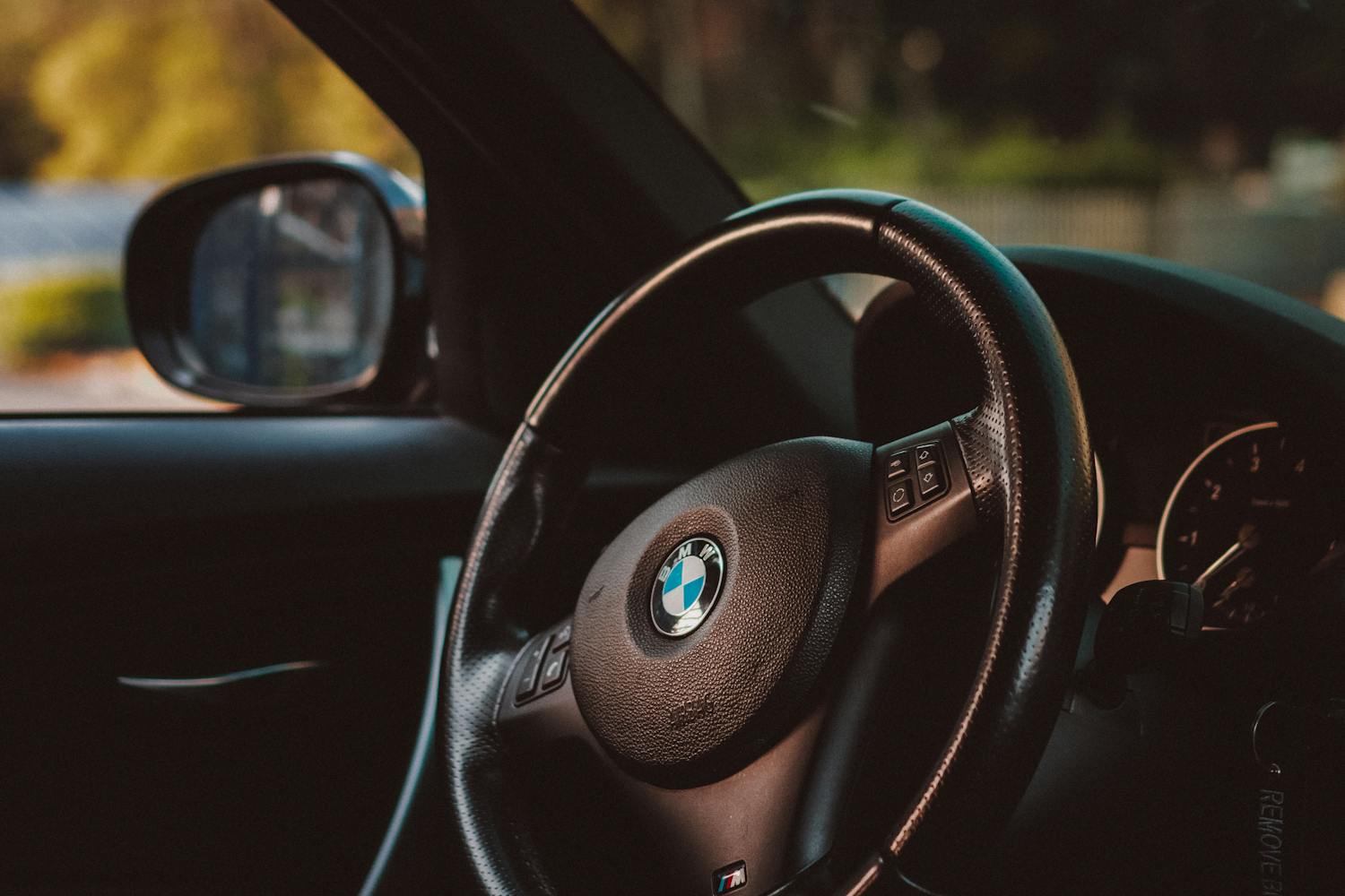 pexels-photo-3689534-1